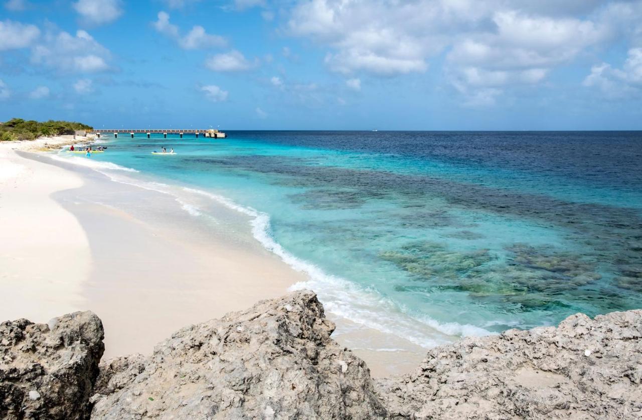 Bed and Breakfast Casa Mantana Bonaire Kralendijk na wyspie Bonaire Zewnętrze zdjęcie
