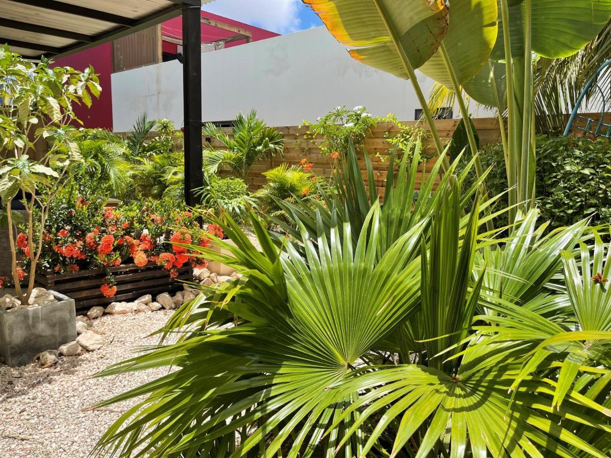 Bed and Breakfast Casa Mantana Bonaire Kralendijk na wyspie Bonaire Zewnętrze zdjęcie