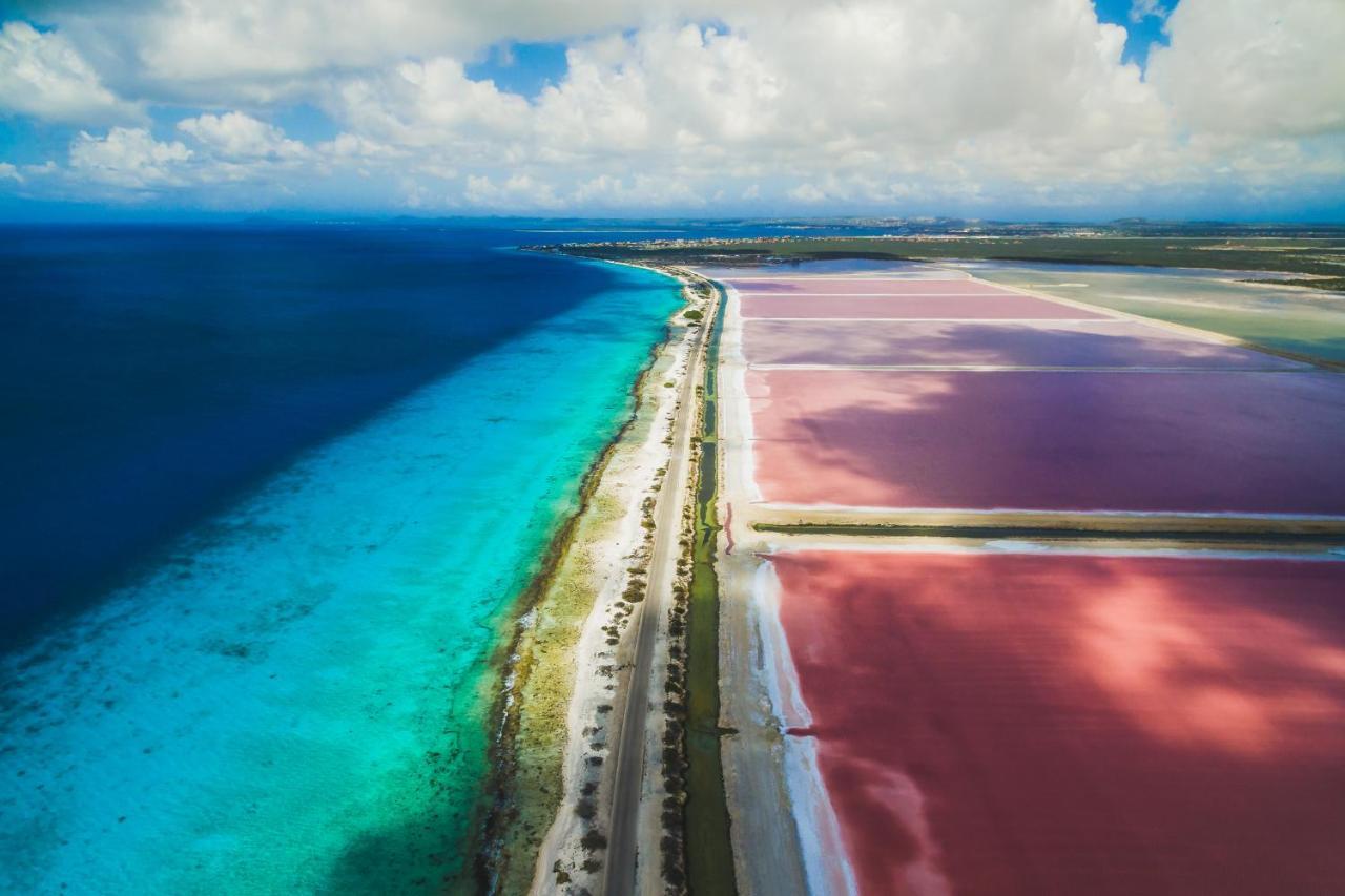 Bed and Breakfast Casa Mantana Bonaire Kralendijk na wyspie Bonaire Zewnętrze zdjęcie